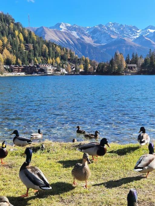 Superbe Appartement Champex-Lac Avec Piscine Et Sauna Ngoại thất bức ảnh